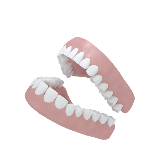 Teeth